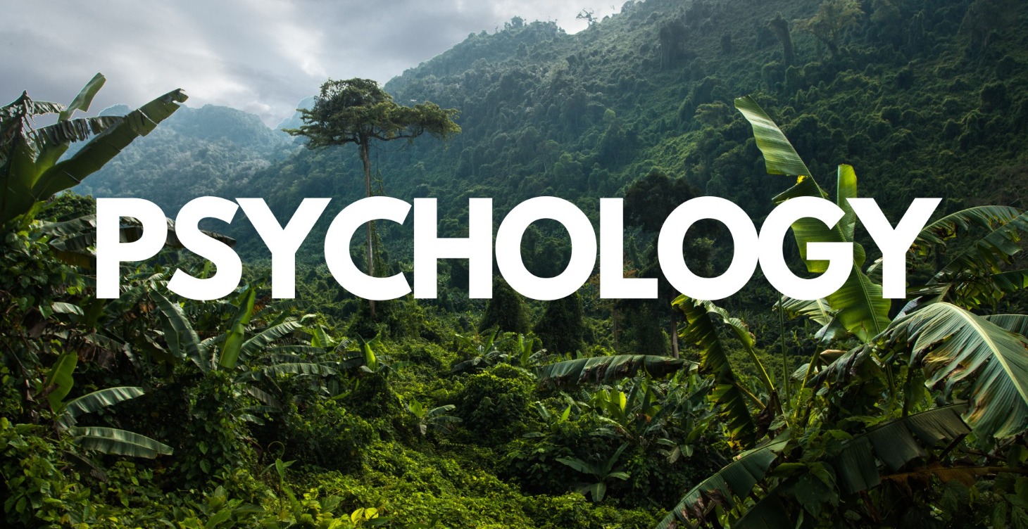 Psychology Principles