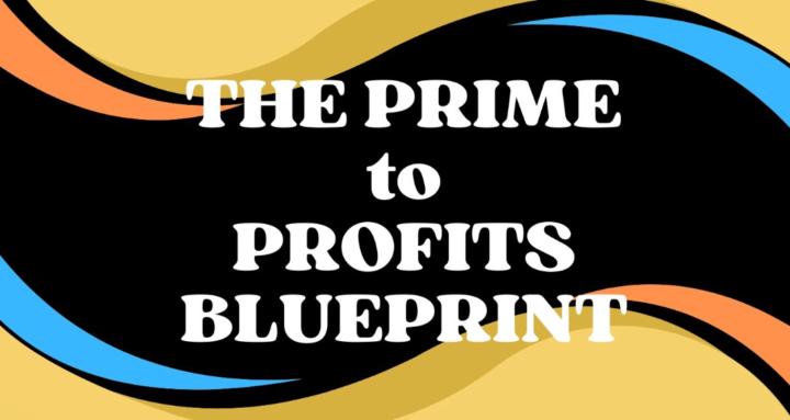 The Prime to Profits Blueprint