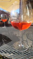 Alessandro Pasquotto