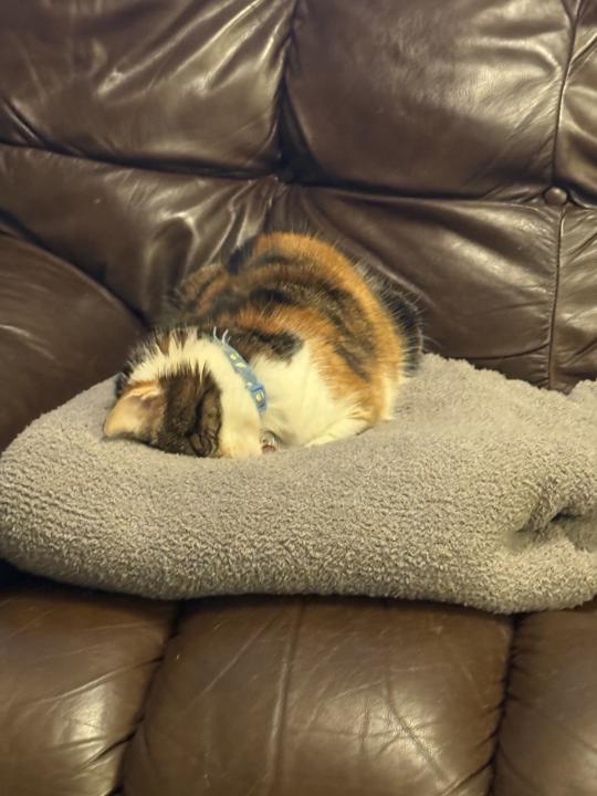 My Co-Worker has apparently had a rough week