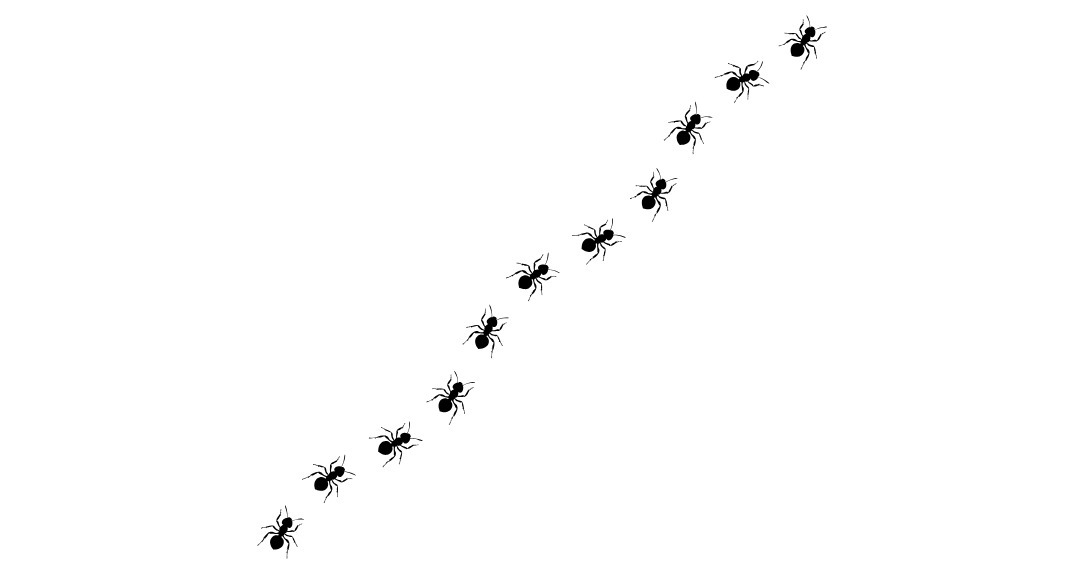 Anthill Club