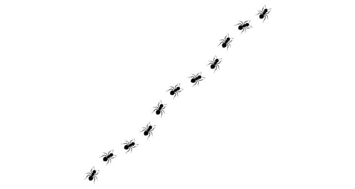 Anthill Club