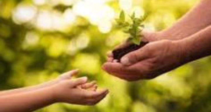 NurturePath Doula Support