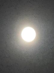 Narna Sambuu