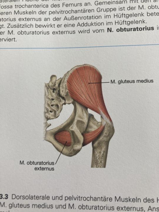 Stand der Hüfte bei Extremsituationen