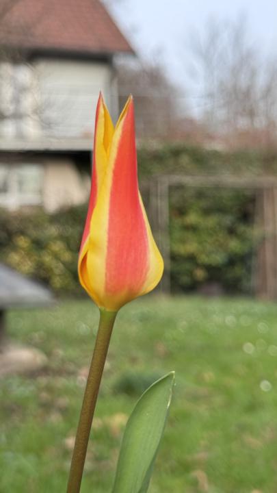 🌼 Manches braucht eine Weile, bis es sich zeigt. 