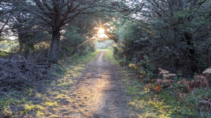 Hallo und schön hier zu sein