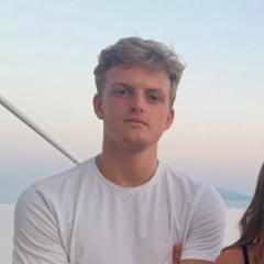 Ludvig S