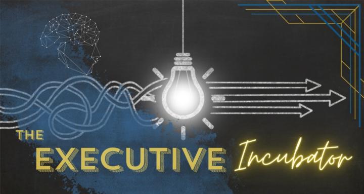 The Executive Incubator