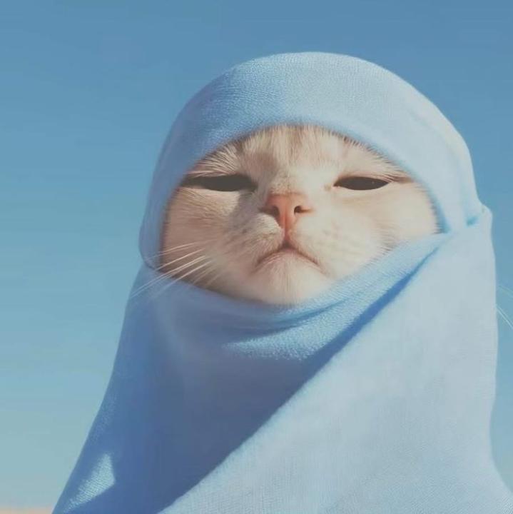 Anas Muhammad