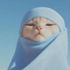 Anas Muhammad