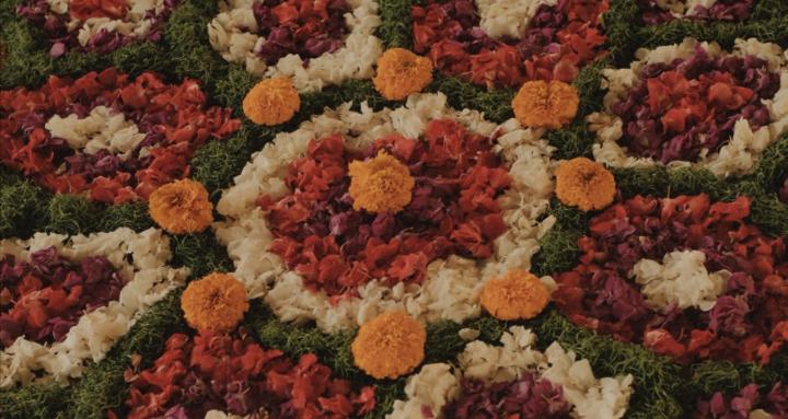 Maia Conscious Living