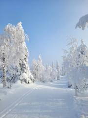 Vellamo Hahtola