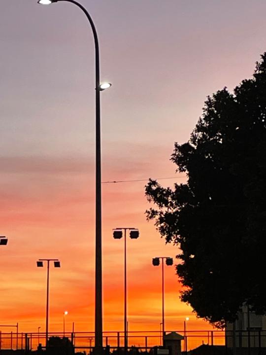 Lolika Salas pedrera