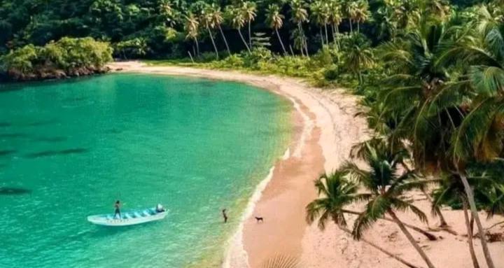 Fitness Haiti Nutrition