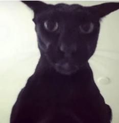Draco B.