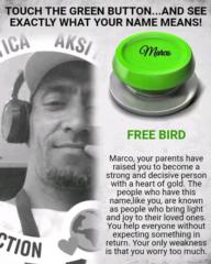 Marco Williams