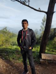 Kaushik S