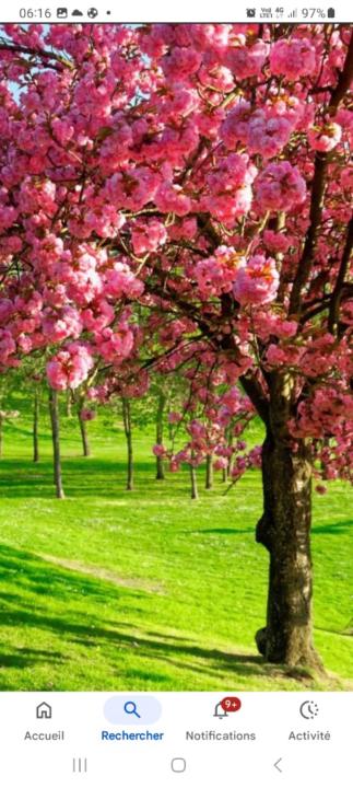 Mohsin abbad Rhizlane