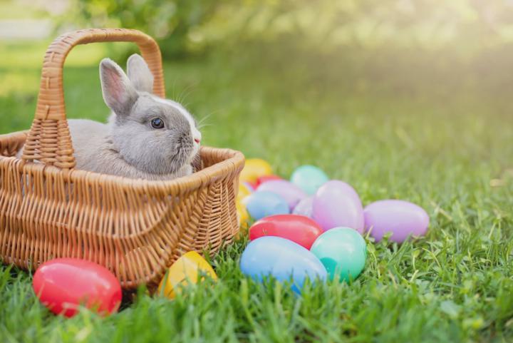 Easter Coffee Hour in 9 hours ☕️