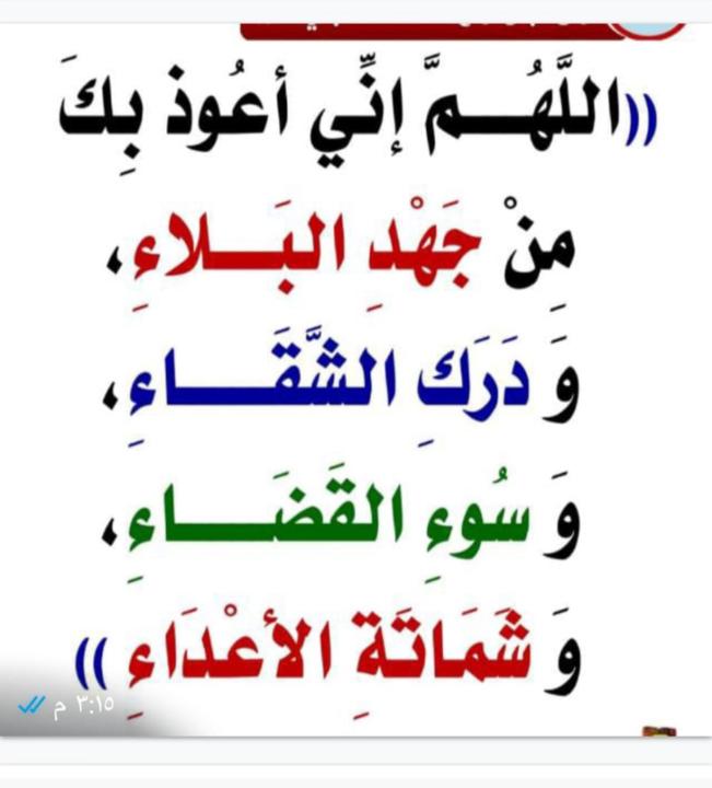 نادية ارخاء