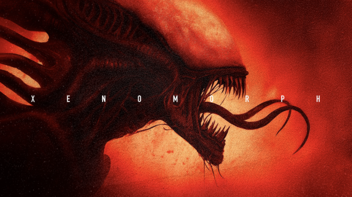 Xenomorph