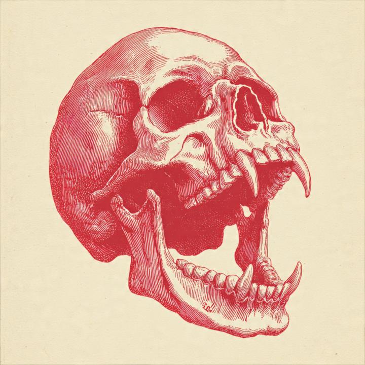 Have you used the Meta.ai version of Midjourney yet?