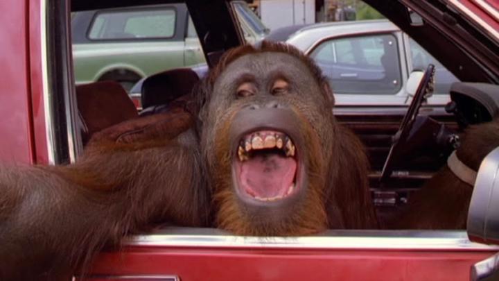 Memorizing Sales Scripts: Every Which Way But Loose