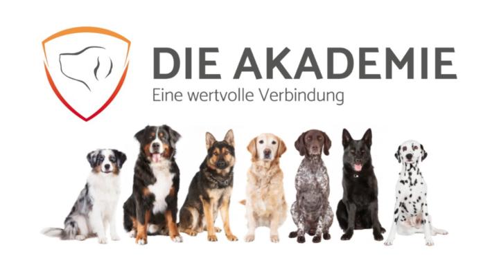 AKADEMIE zur 5er-Basis