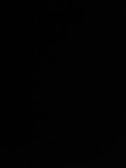 Ștefan Rădăuceanu