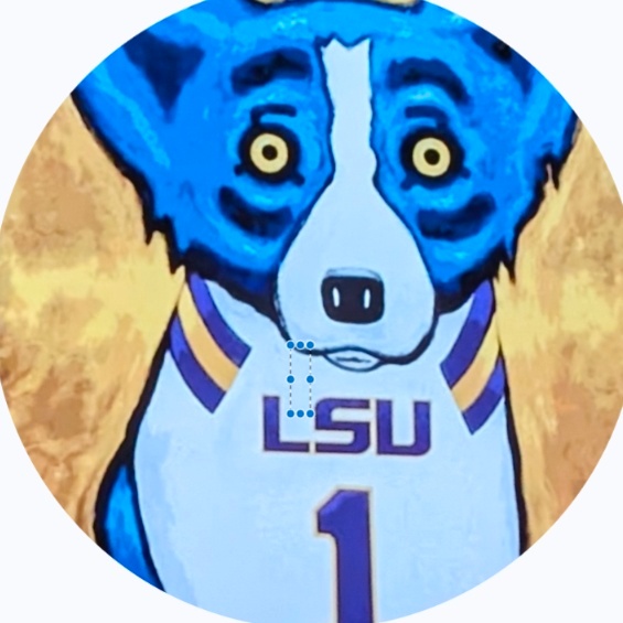Geaux Tigers
