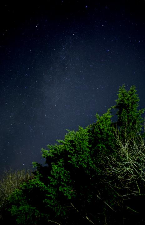 Let’s see if this works out. 