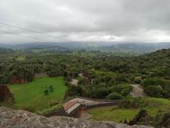 María Dolores Noguera