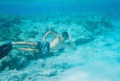 Constantin Guillaume