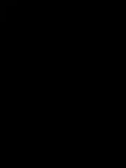 Sultan A
