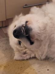 Ryan Stratton-Baldwin