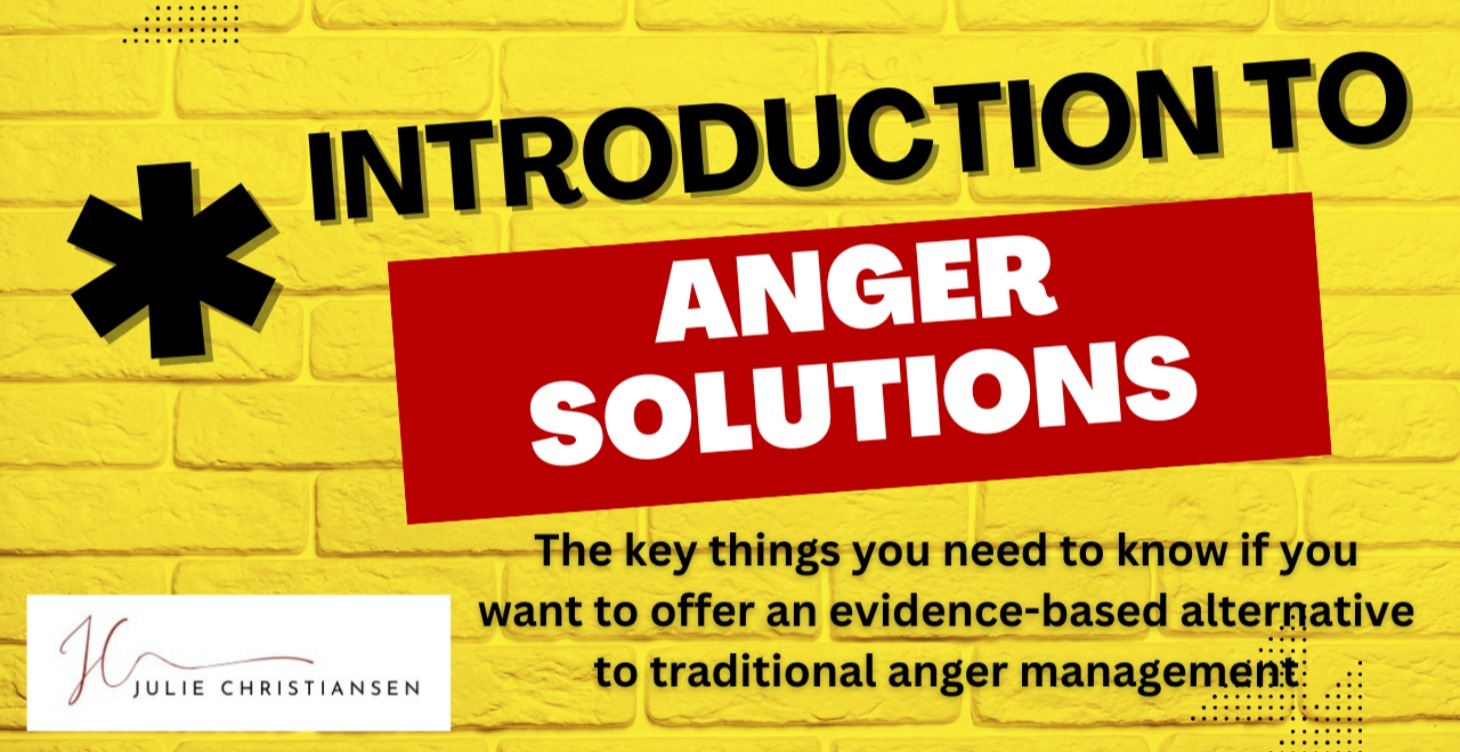Introduction to Anger Solutions - FREE