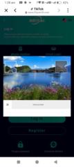 Rehan Shek