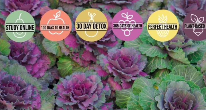 Whole World Well Group