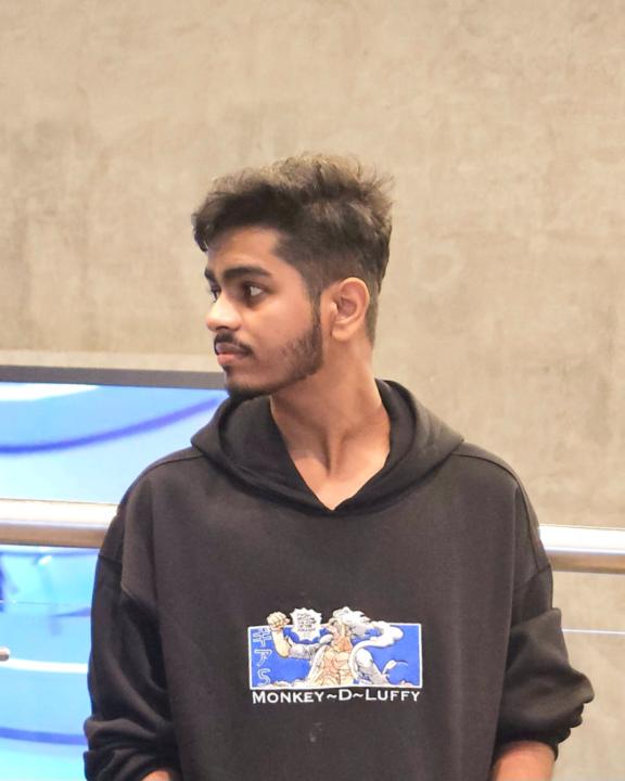 Ronak Borkar
