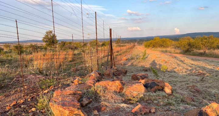 Living in Harmony and Meaning