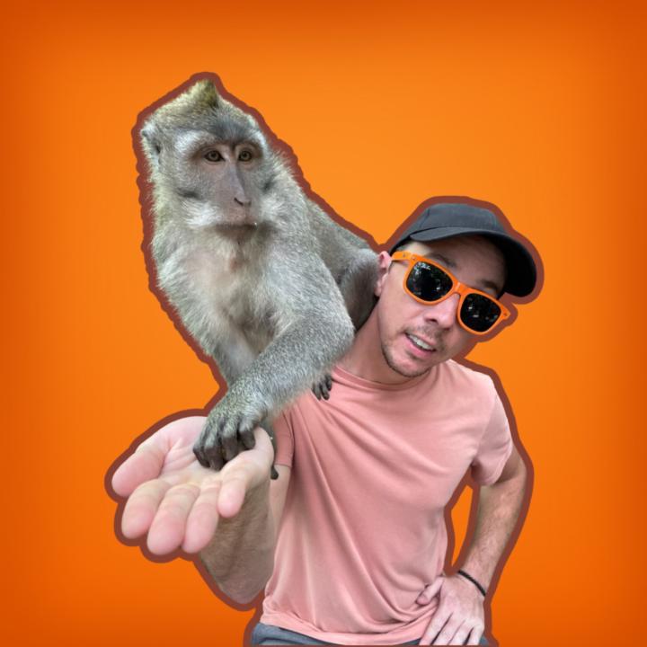 The Digital Nomad Coach .Com