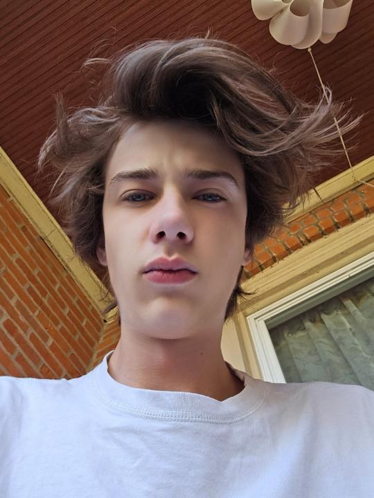 Dominic Mitchell