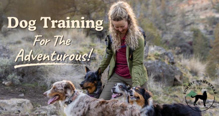 Summit Homestead Dog Training