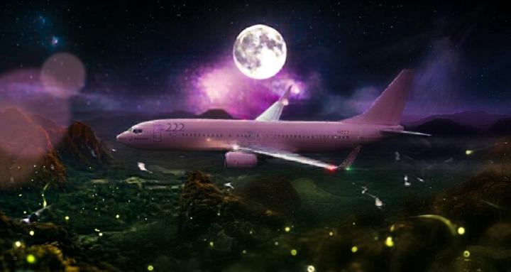 Flight 222