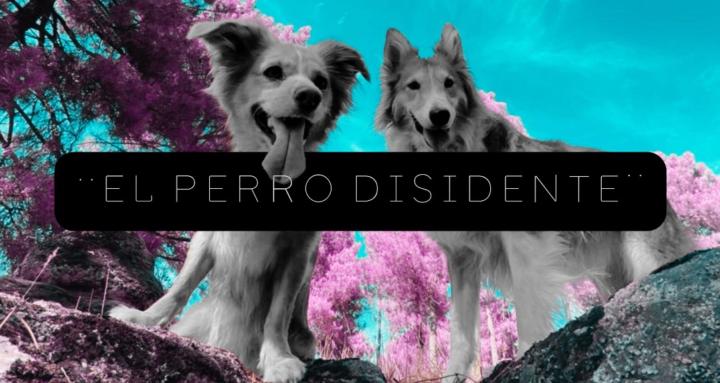 El Perro Disidente