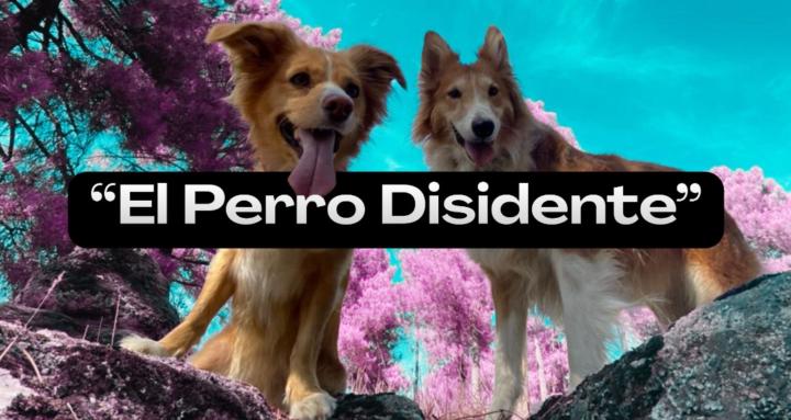 El Perro Disidente