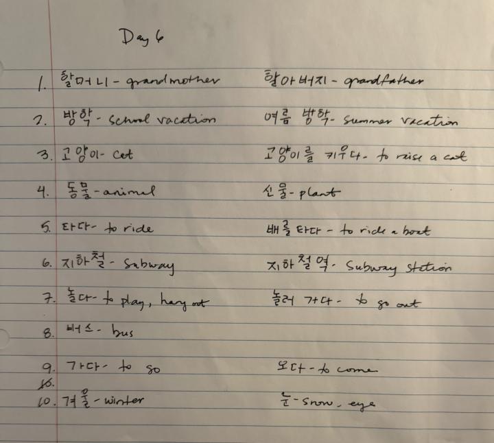 Day 6 
