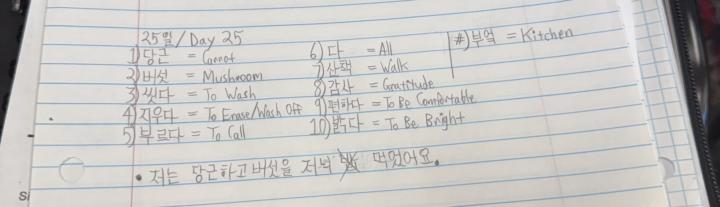 Day 25/25일