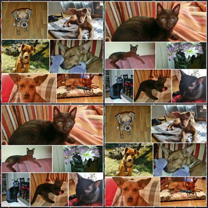 Yolanda Alvariño López